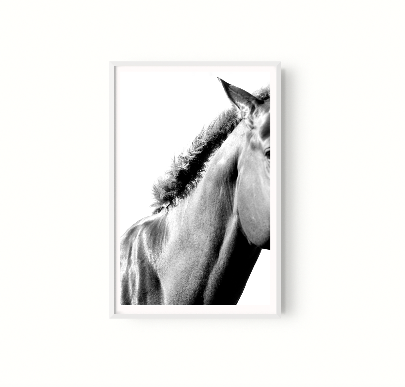 Equino