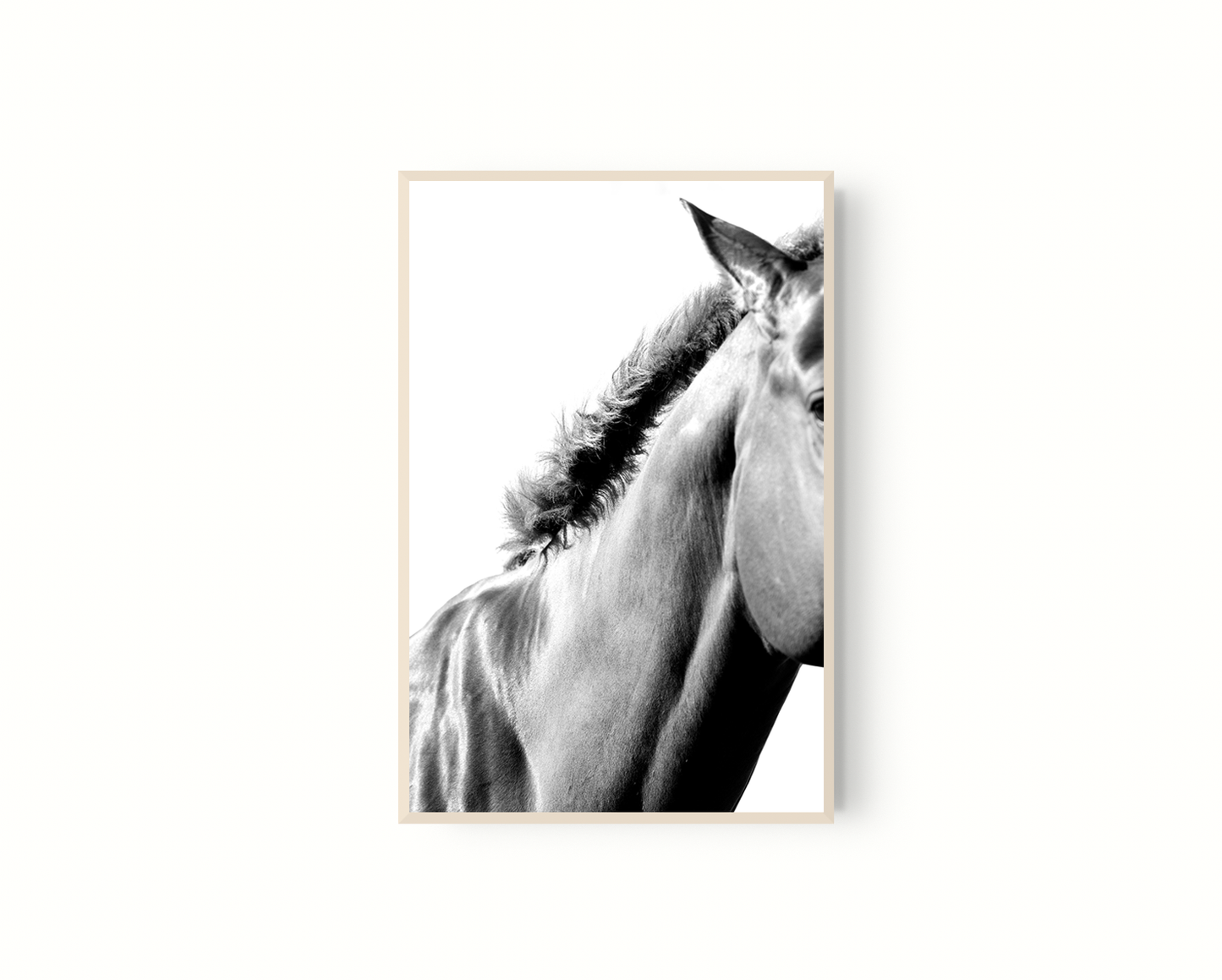 Equino
