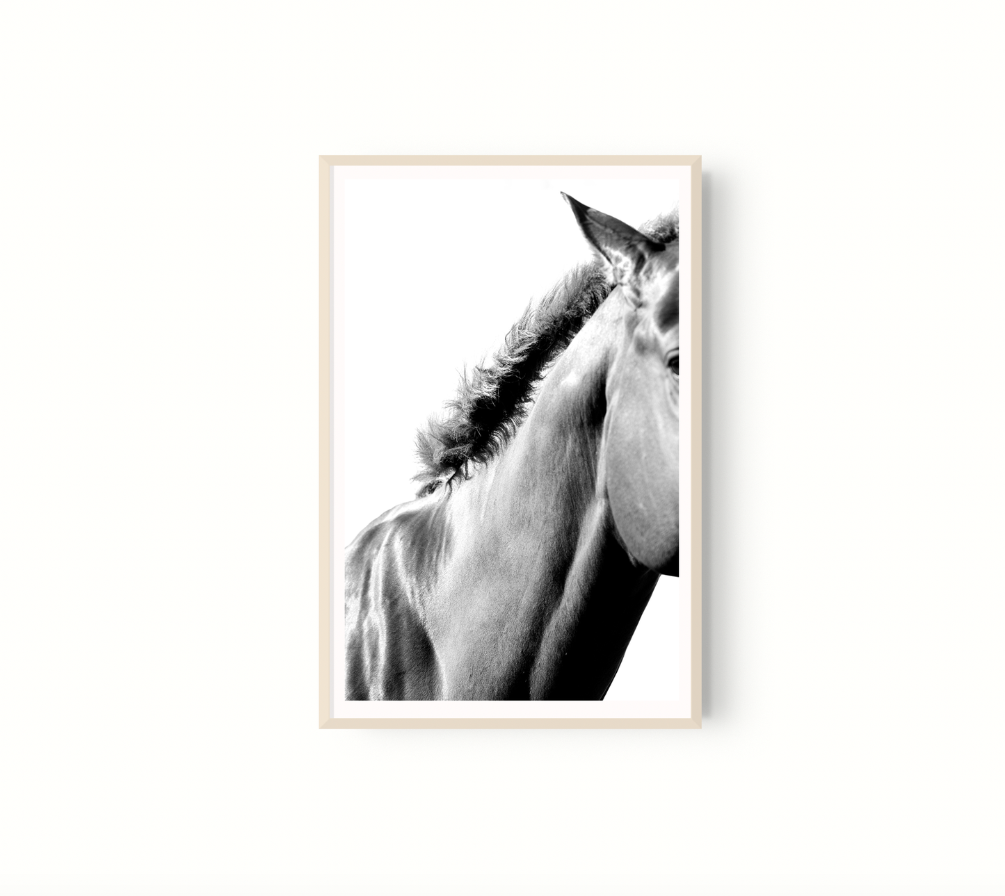 Equino
