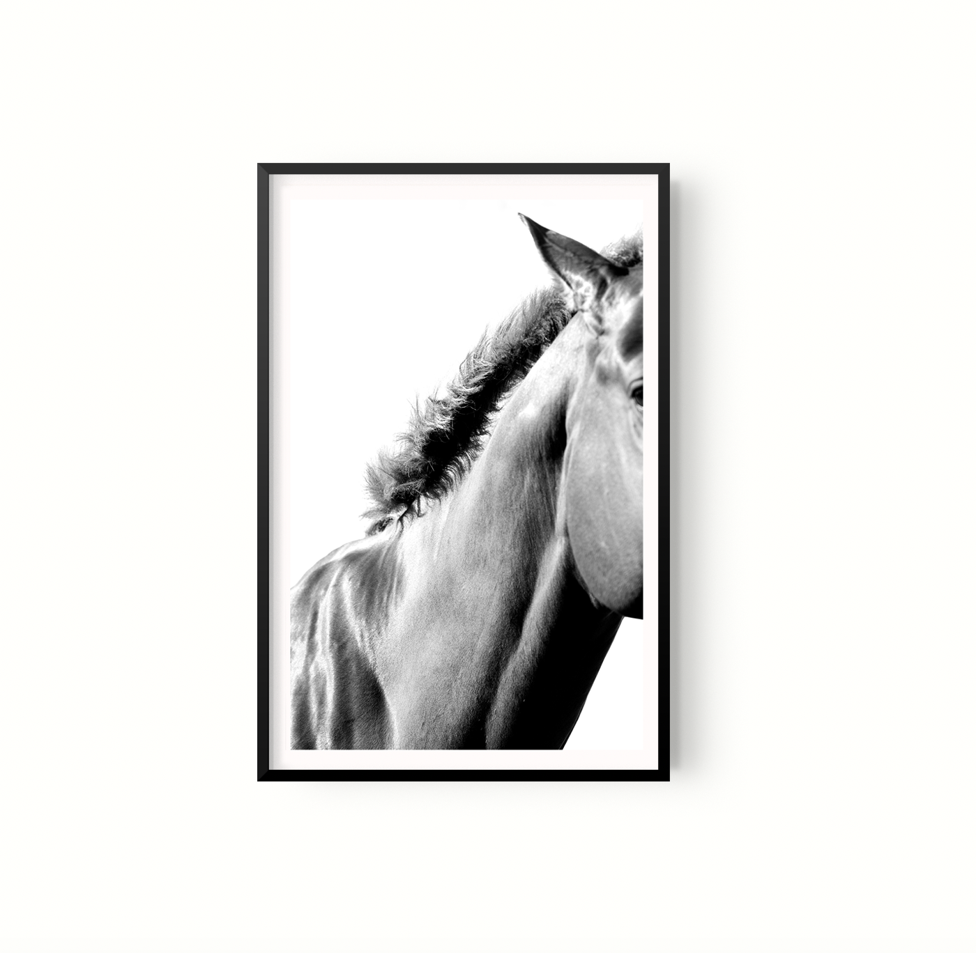 Equino
