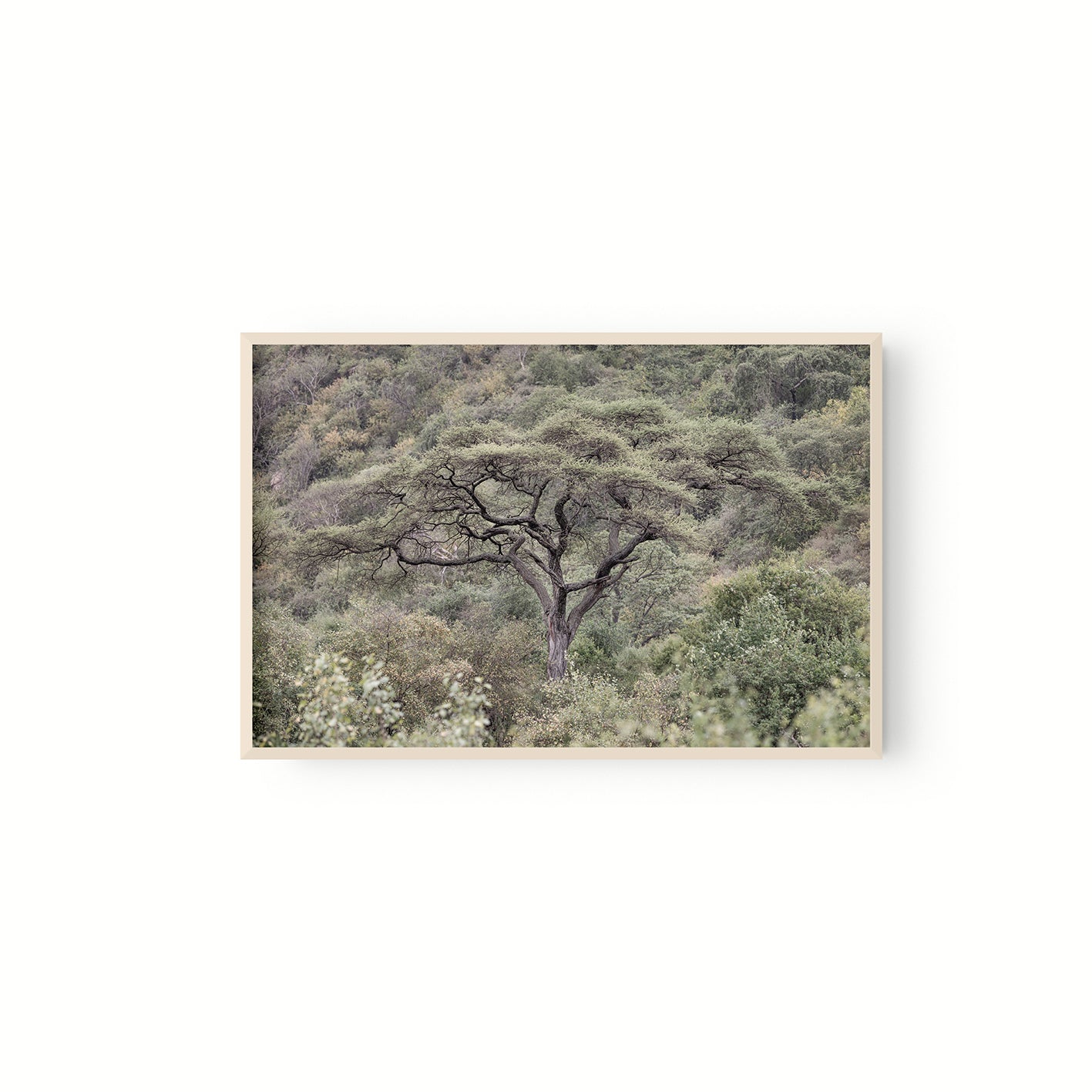 La Selva