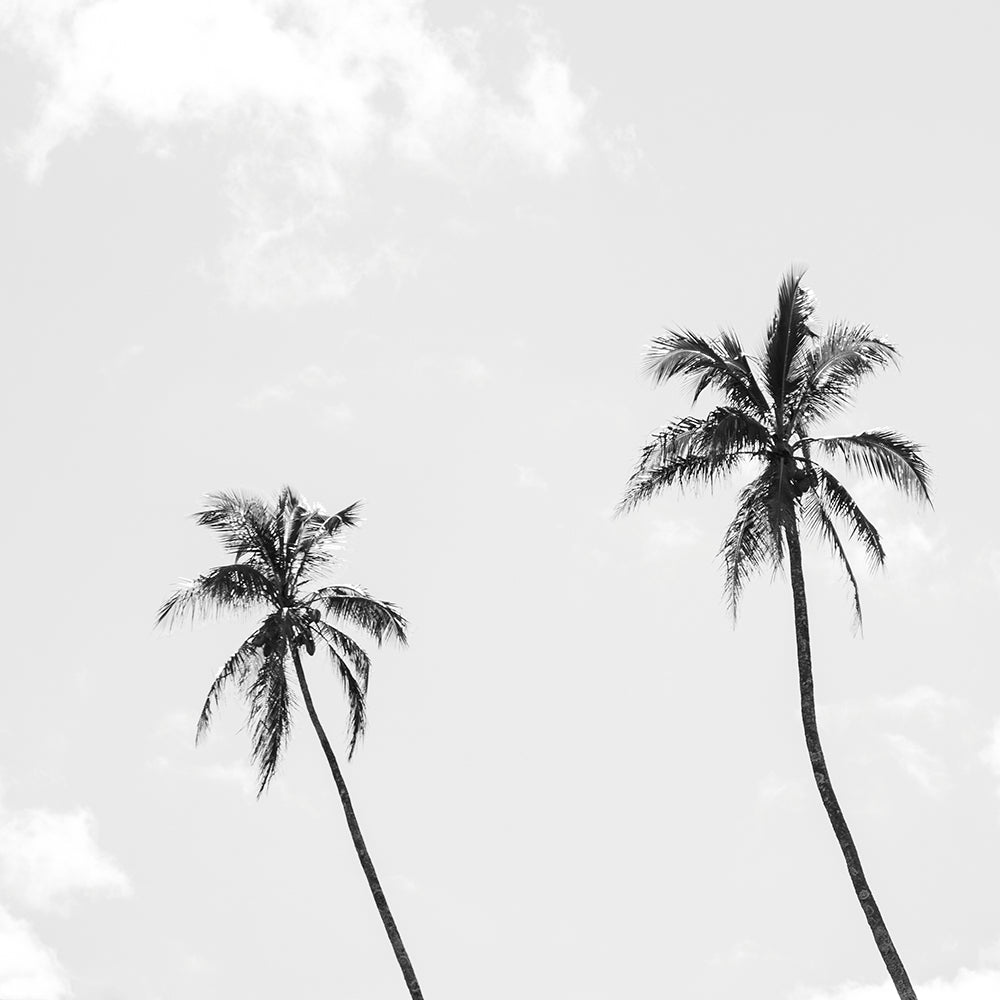 El Cielo