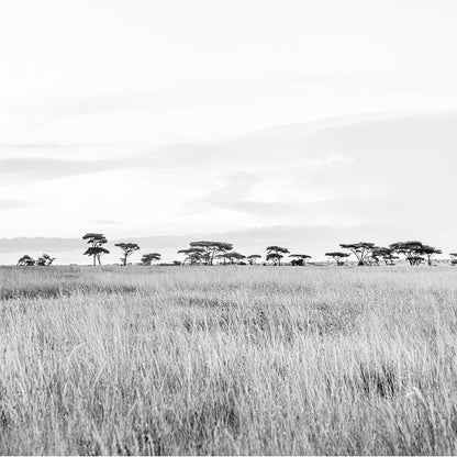 Horizonte