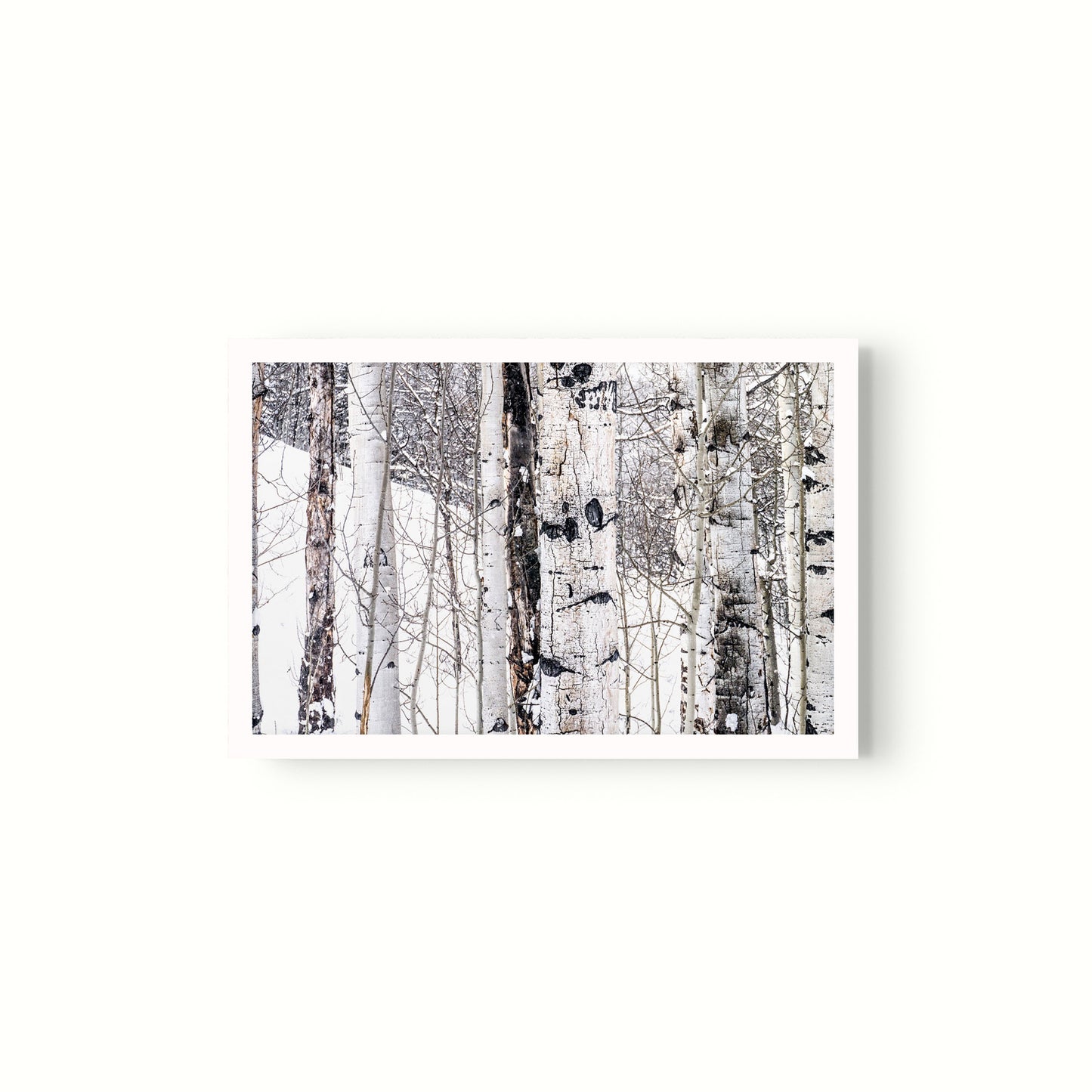 Aspen I