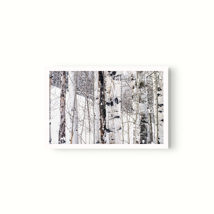 Aspen I