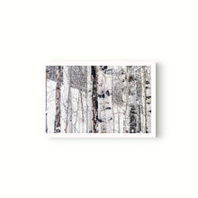 Cargar imagen en el visor de la galería, Aspen I
