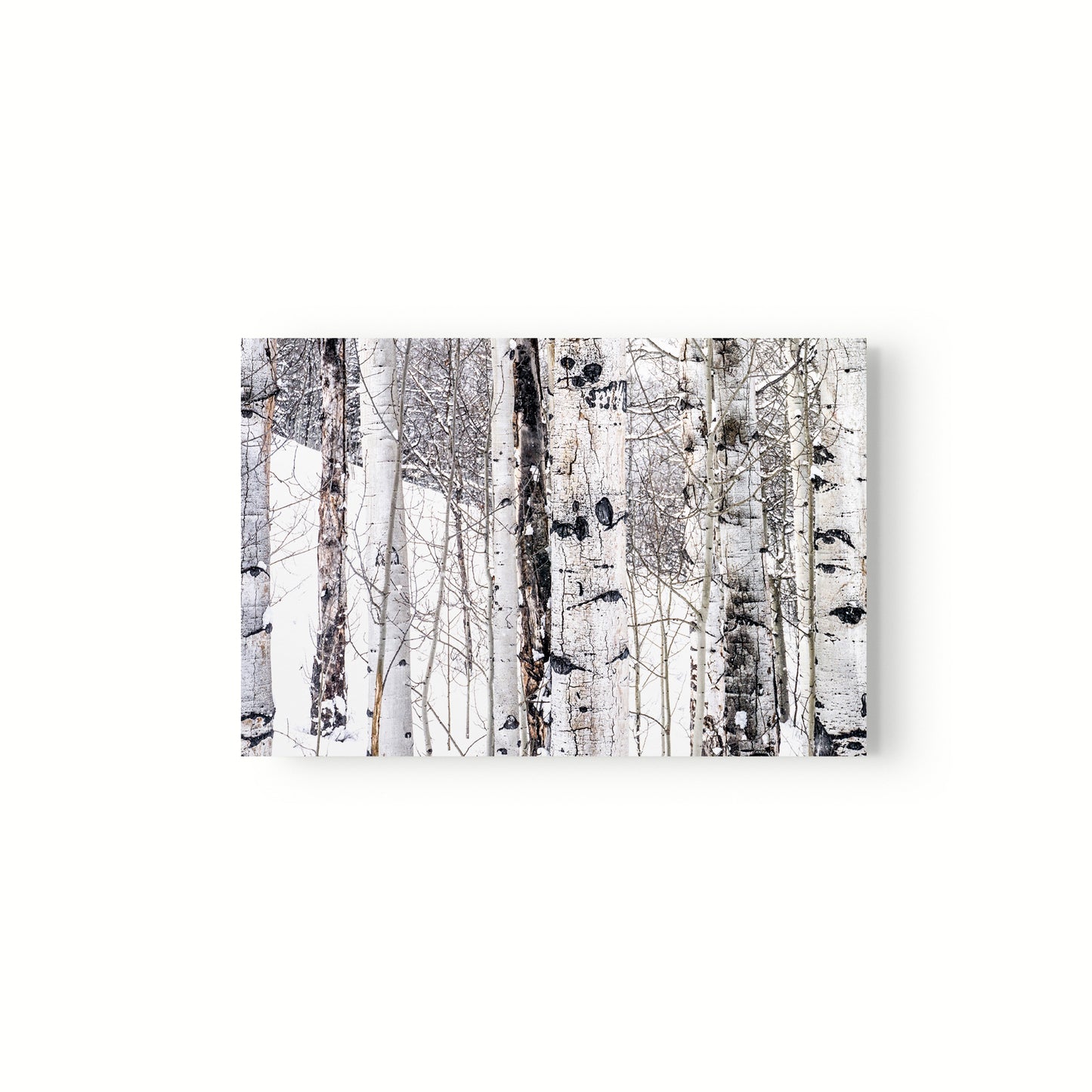 Aspen I