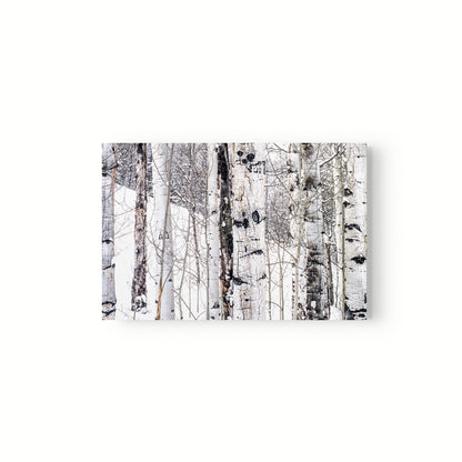 Aspen I