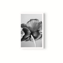 Cargar imagen en el visor de la galería, Botanica
