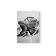 Cargar imagen en el visor de la galería, Botanica
