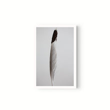 Cargar imagen en el visor de la galería, Estudio Pluma I
