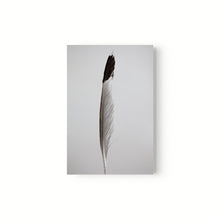 Cargar imagen en el visor de la galería, Estudio Pluma I
