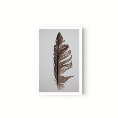 Estudio Pluma II