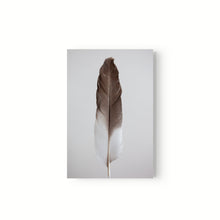 Cargar imagen en el visor de la galería, Estudio Pluma III
