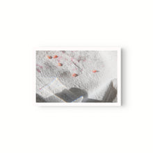 Cargar imagen en el visor de la galería, Granada y sombra II
