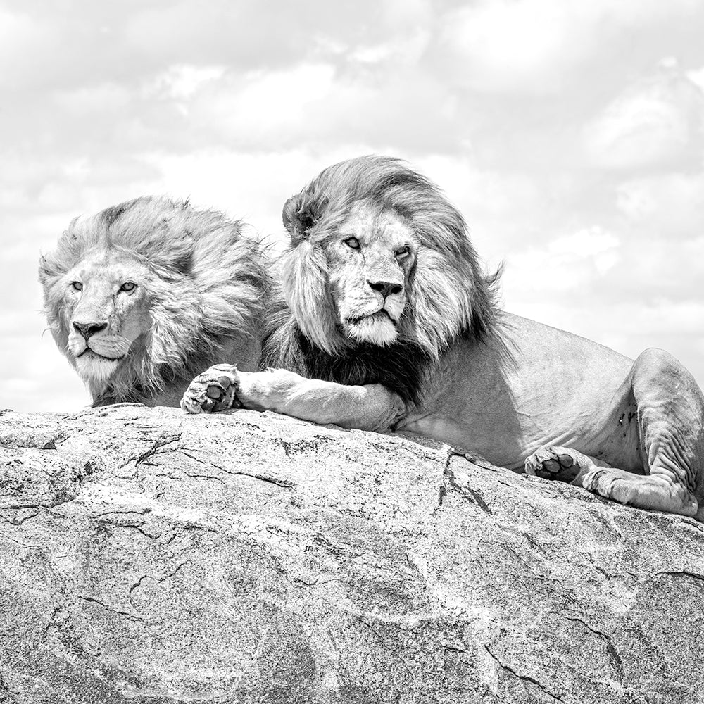 Hermandad