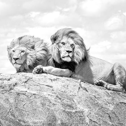 Hermandad