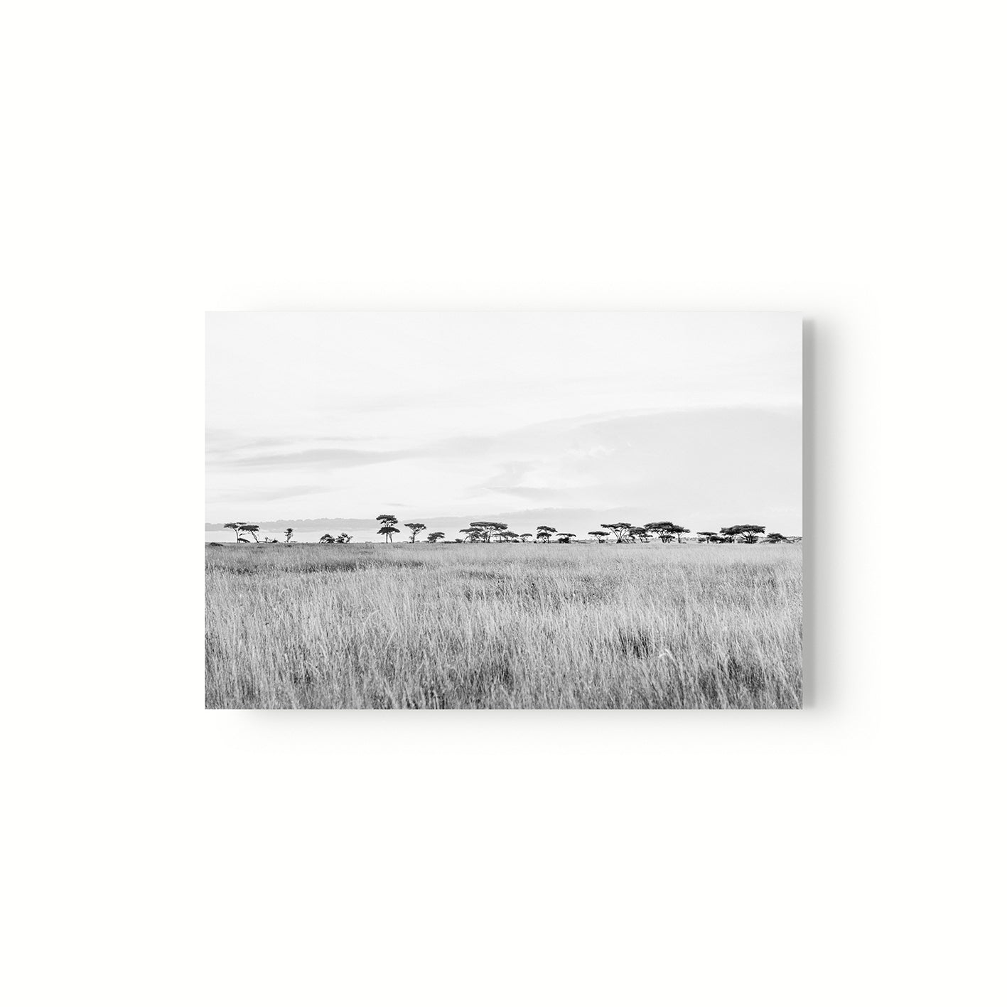 Horizonte