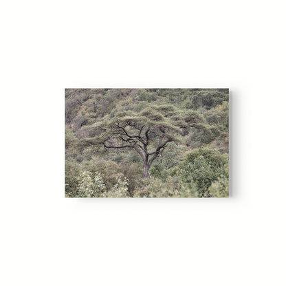 La Selva