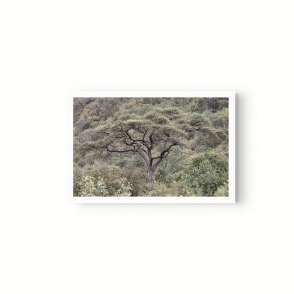 La Selva