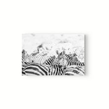 Cargar imagen en el visor de la galería, Manada Zebras
