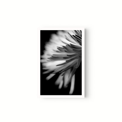 Negativo de flor