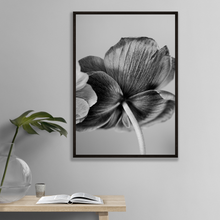 Cargar imagen en el visor de la galería, Botanica

