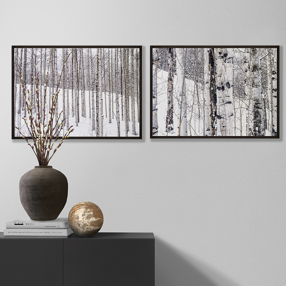 Aspen I