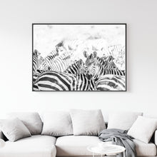 Cargar imagen en el visor de la galería, Manada Zebras
