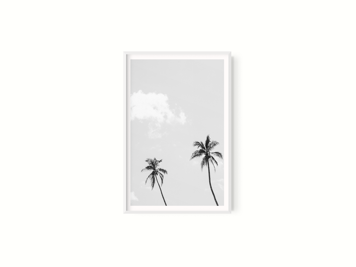 El Cielo