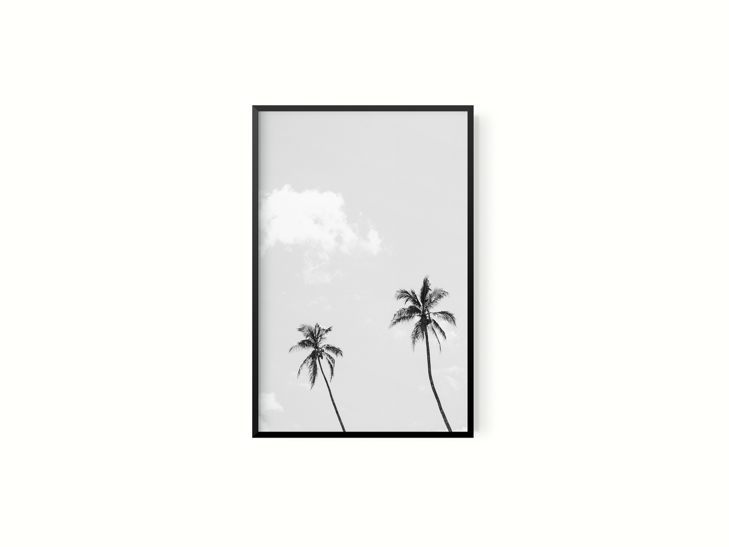 El Cielo