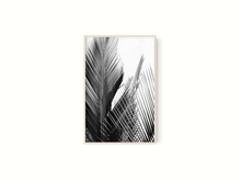 Cargar imagen en el visor de la galería, Palma II
