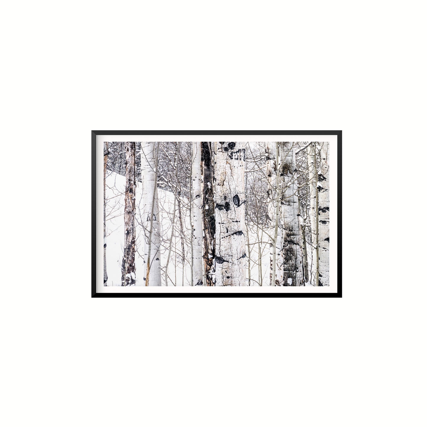 Aspen I