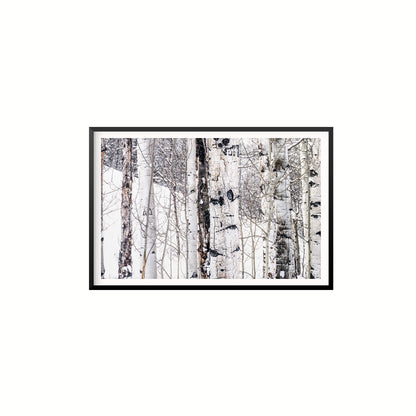 Aspen I