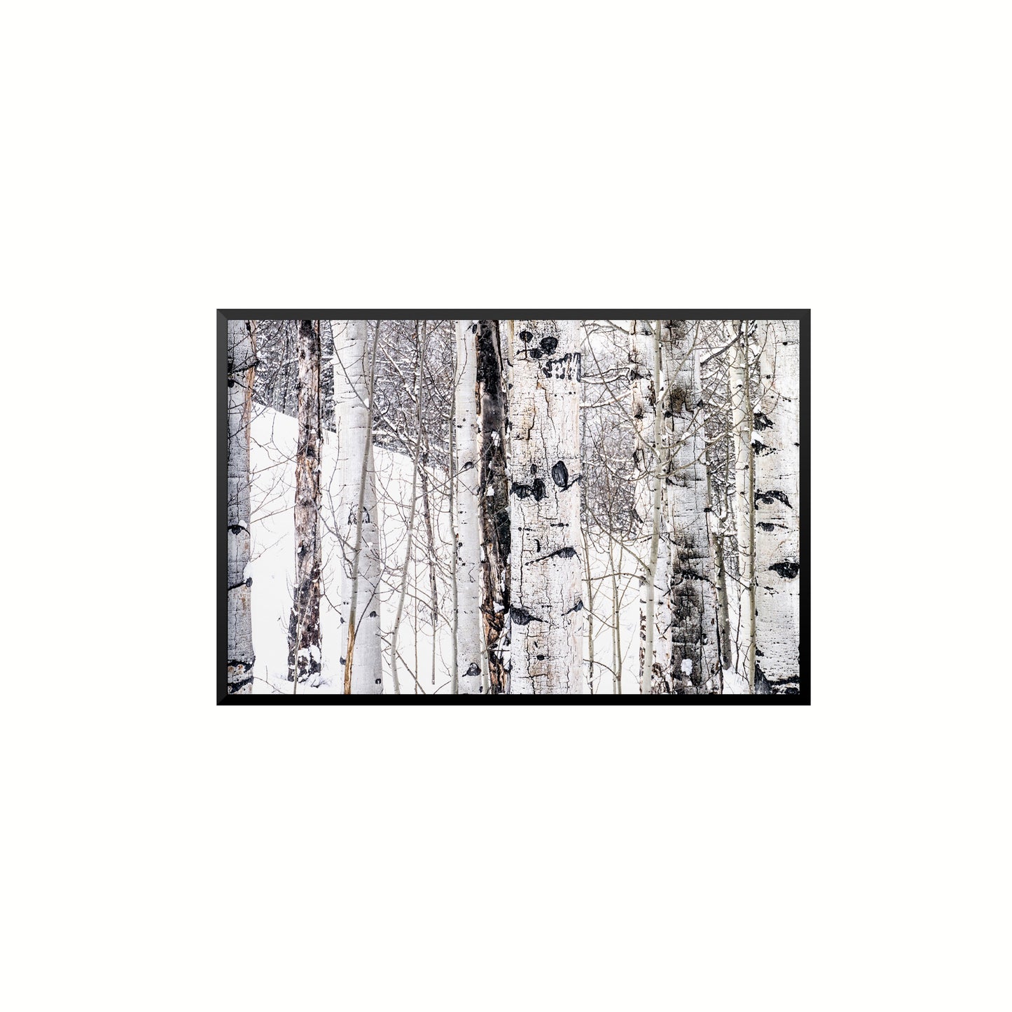 Aspen I