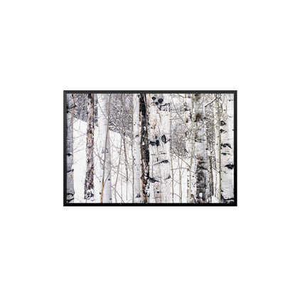 Aspen I