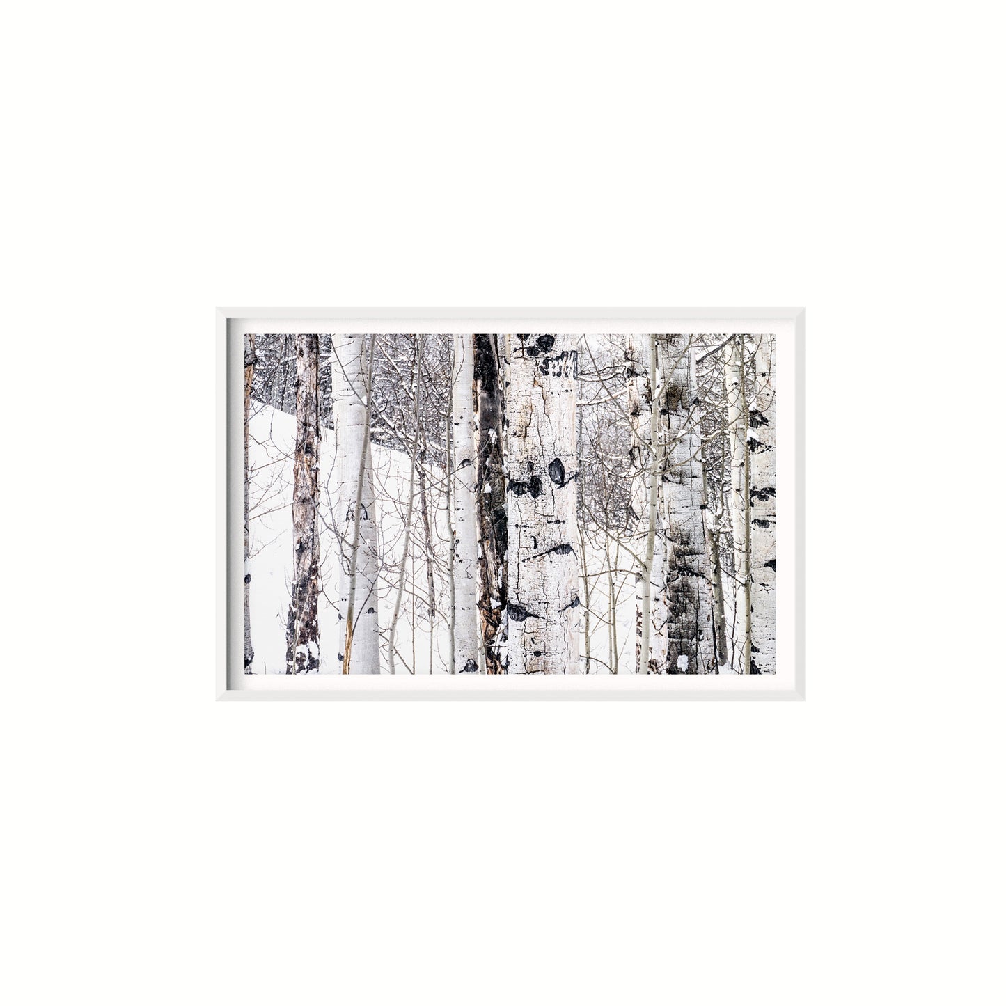 Aspen I