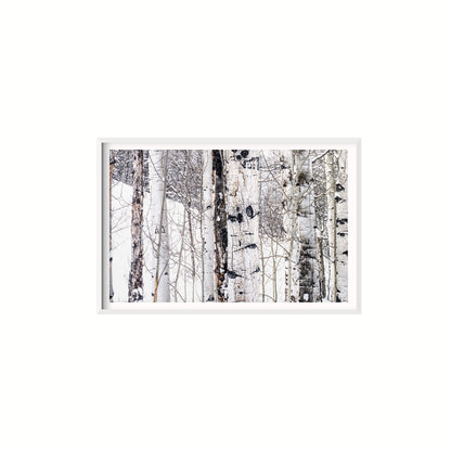 Aspen I