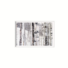 Cargar imagen en el visor de la galería, Aspen I
