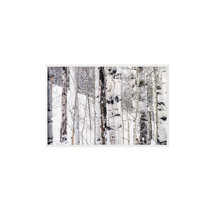 Aspen I