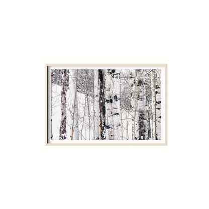 Aspen I