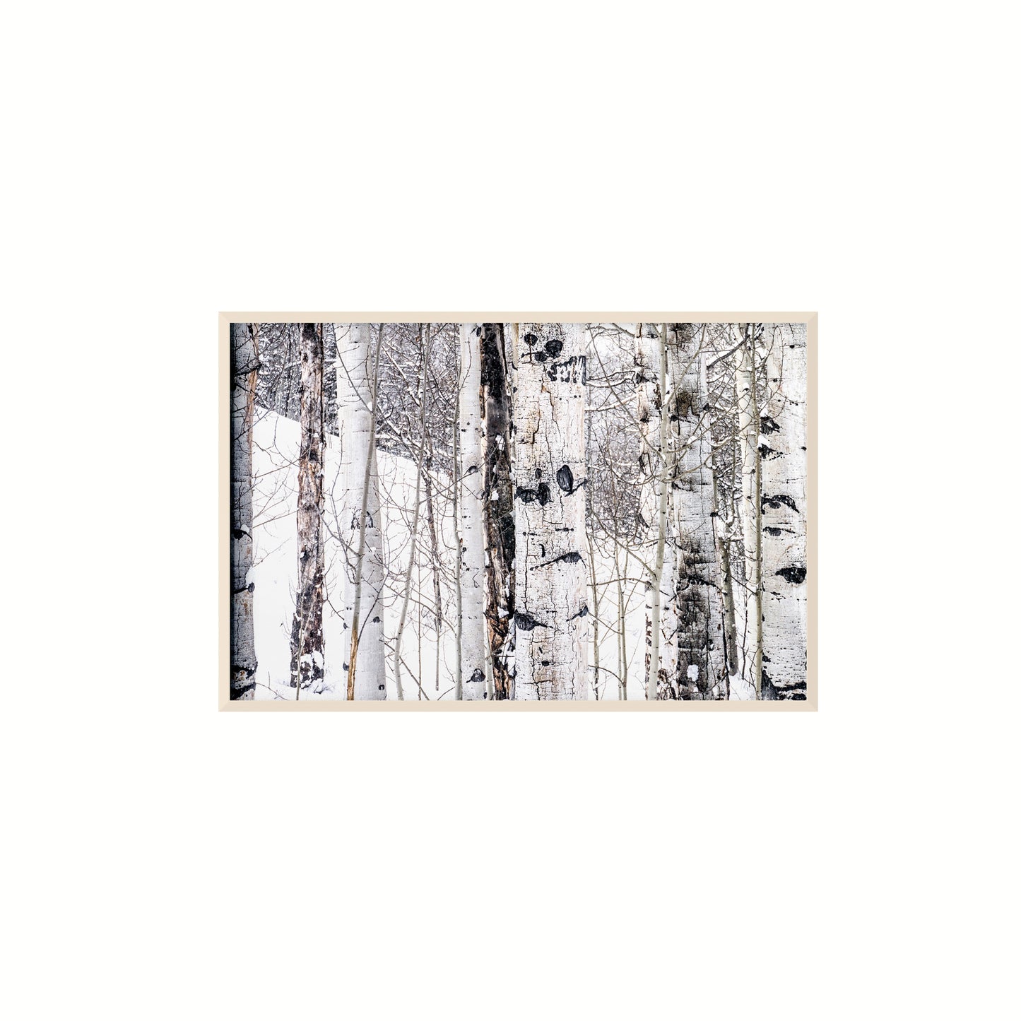 Aspen I