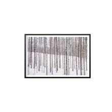 Cargar imagen en el visor de la galería, Aspen II
