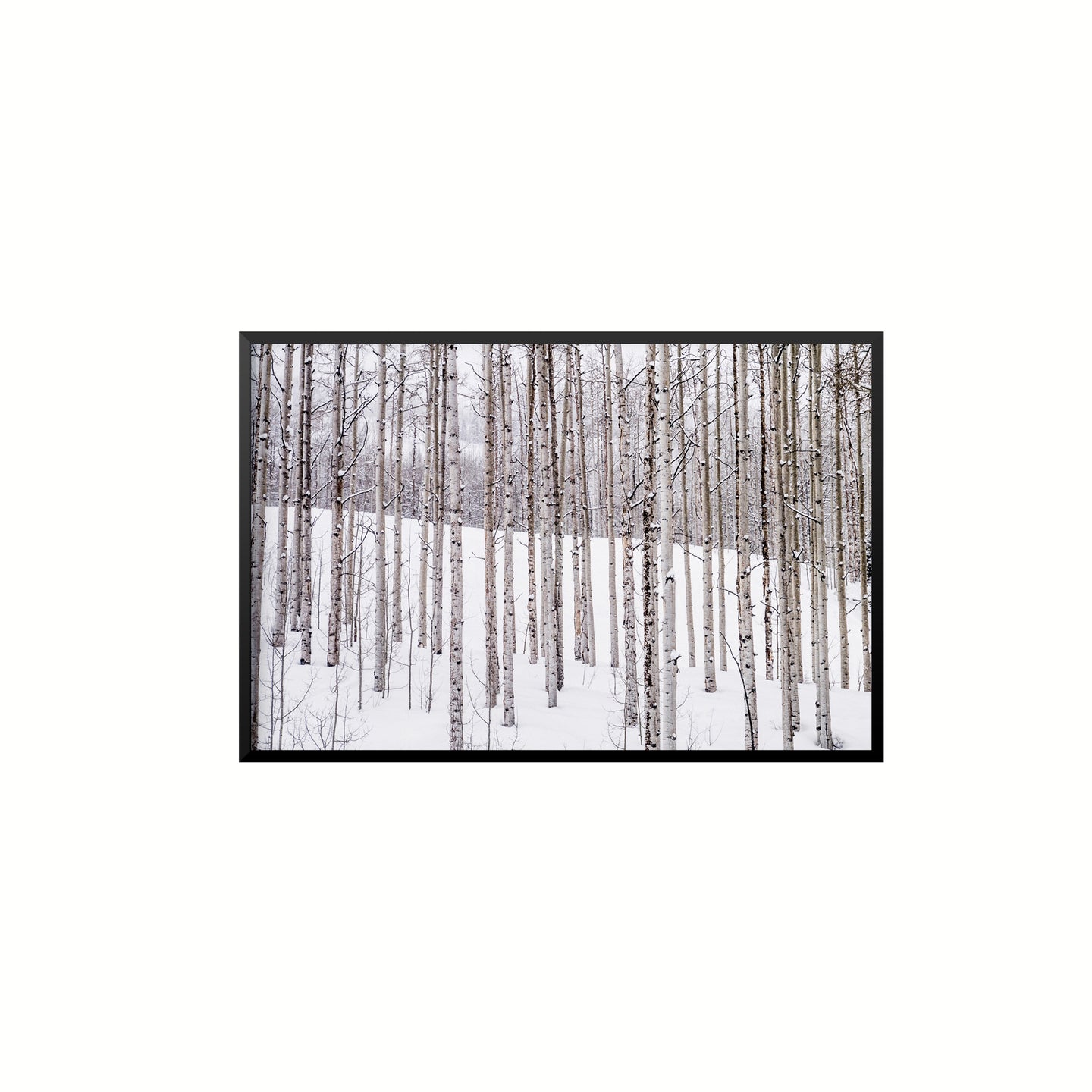 Aspen II