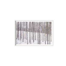 Cargar imagen en el visor de la galería, Aspen II

