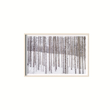 Cargar imagen en el visor de la galería, Aspen II
