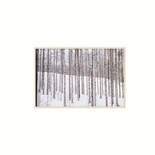 Cargar imagen en el visor de la galería, Aspen II
