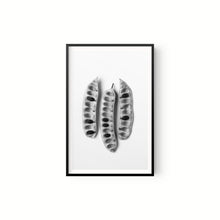 Cargar imagen en el visor de la galería, Botánica II
