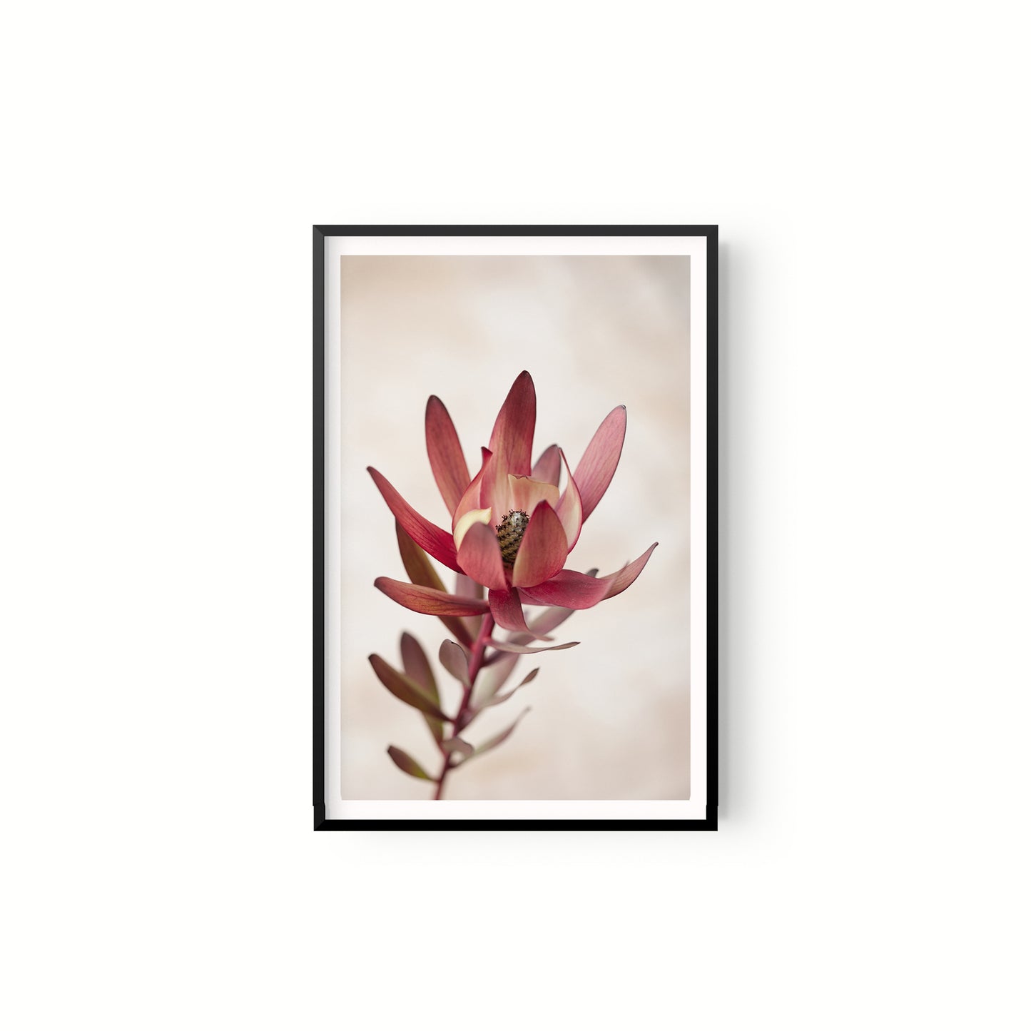 Botanica III