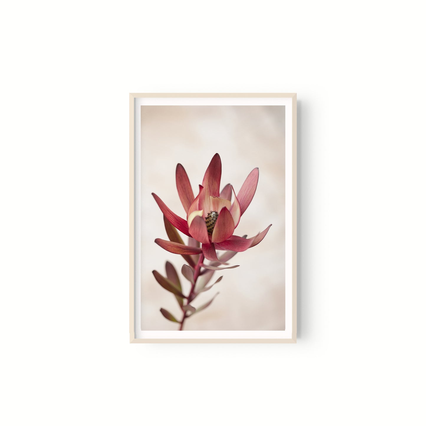 Botanica III